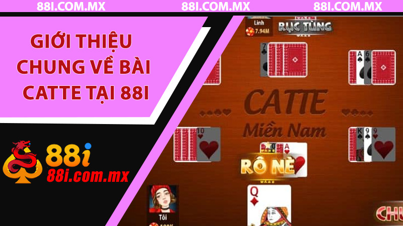 Giới Thiệu Chung Về Bài Catte Tại 88i
